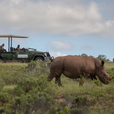 How to plan the perfect safari honeymoon