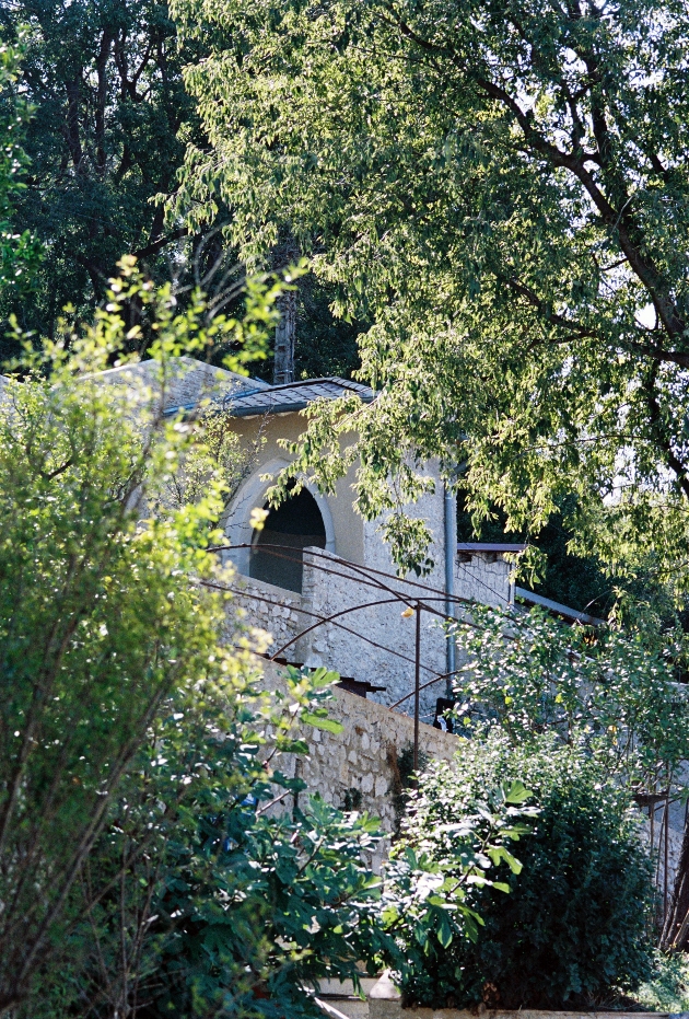 A old building nestled within a forest